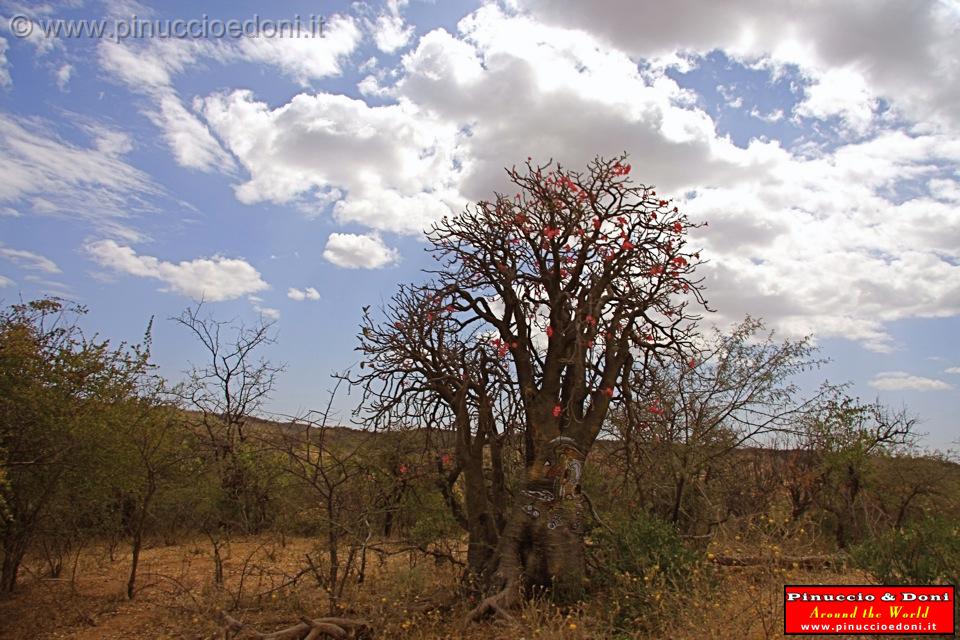 Ethiopia - Ritorno verso Turni - 4.jpg